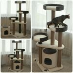 Complex de jocuri pentru o pisică cu șezlonguri