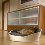 Purchased cat lounger