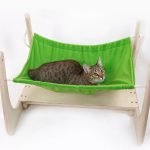 Green hammock for cat