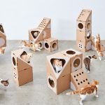 Συγκρότημα παιχνιδιών χαρτόνι για μια γάτα