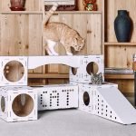 Spelcomplex met een huis van karton voor een kat