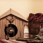 Maison de chat décorative