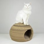 Gato em uma casa de papelão ondulado