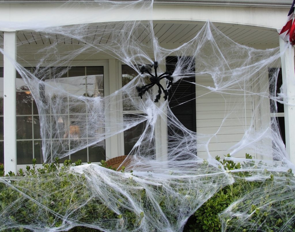 Porch Web