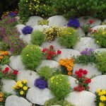 Výzdoba květinového záhonu s zakrpatými květinami a přírodními kameny