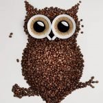 Kaffeugle