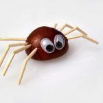 Chestnut spider