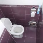Opties voor het afwerken van het toilet met tegels