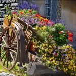 Wózek z kwiatami
