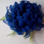 Chrysanthème bleu
