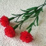 Scarlet Carnations