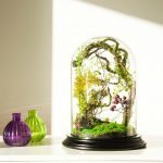 Forest in a flask