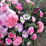 Bó hoa cẩm chướng và