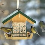 Three bird feeder
