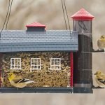 Cereal mosaic feeder