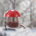Mangeoire à champignons pour oiseaux