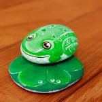 Water lily frog