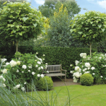 sammensetning med hortensiaer i hagen
