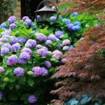 Japanese style garden decoration