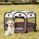 Puppy tent booth
