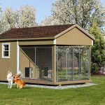 Outdoor Aviary for Dogs