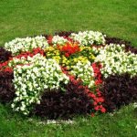 Flowerbed with a picture