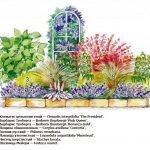 The scheme of planting flowers on the flowerbed