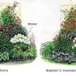 Planer med blomsterbäddar från perenner