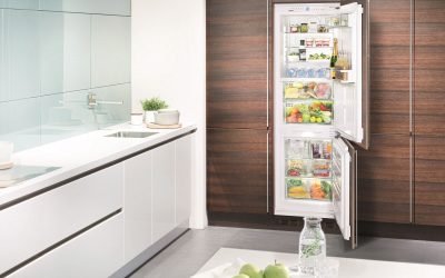 Cum să integrezi un frigider obișnuit în căști