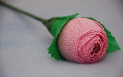 Roses en papier ondulé