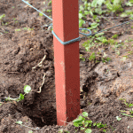 La columna està exposada a una corda