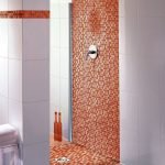 Sprchová mozaika