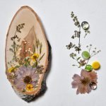 Composition of dried flowers on a cut