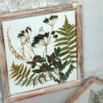 Fern leaves in a frame