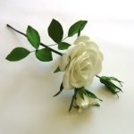 Λευκό τριαντάφυλλο