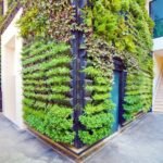Greening della parete
