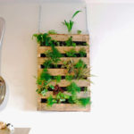 Vertical garden of pallets in the apartment